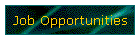 Job Opportunities